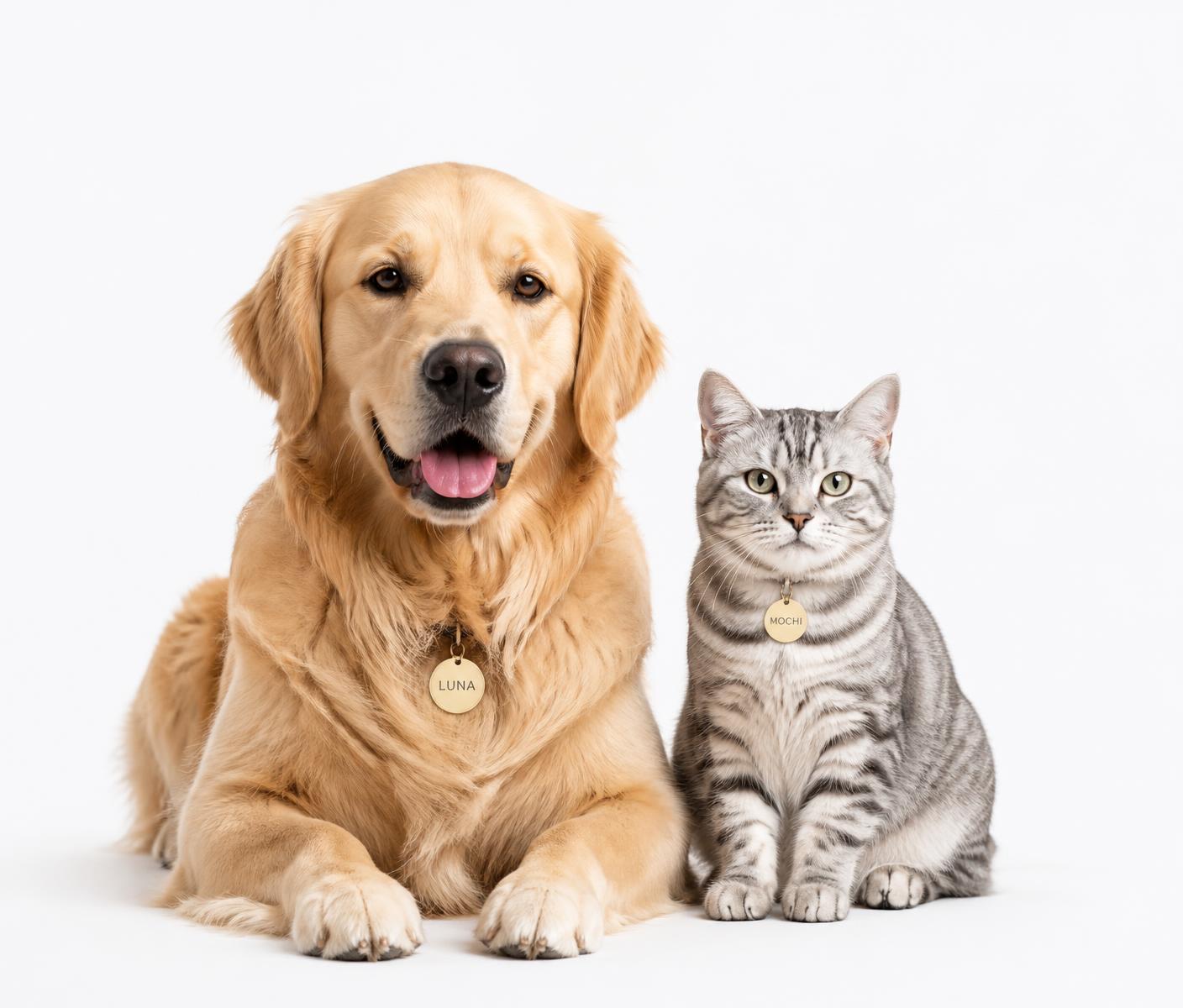 Ein Golden Retriever und eine silberne Katze mit goldenen Fellaro Anhängern